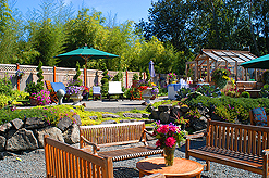 PUTTING ON THE BARBIE